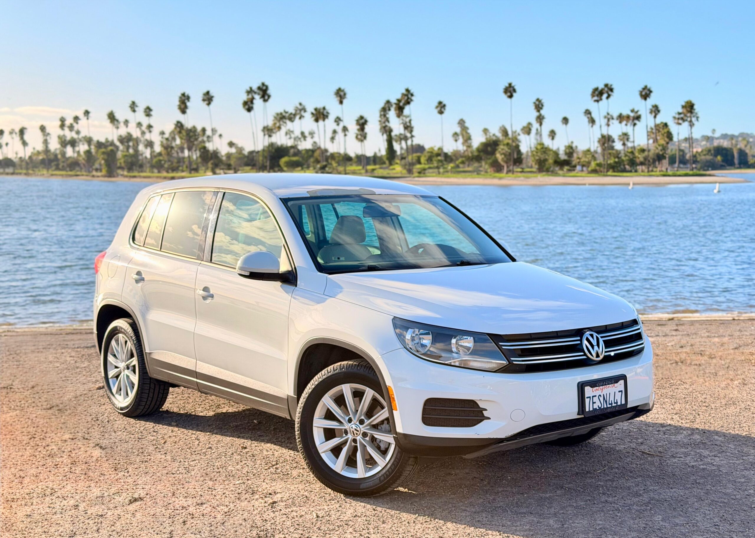 2014 Volkswagen Tiguan SE's photo
